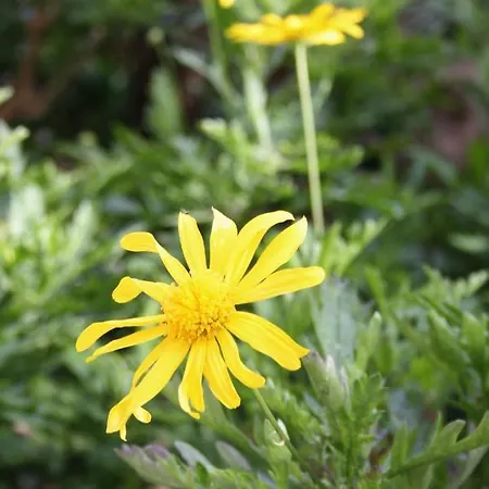 Apartament With A Parking Space - 6087 *