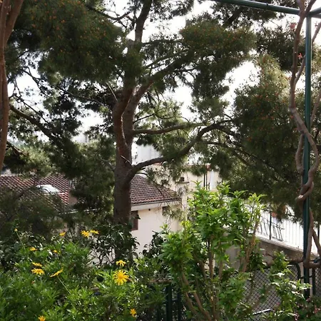 Apartament With A Parking Space - 6087 *